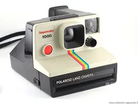 Polaroid